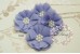 Selina Chiffon Flower, Small (5-6cm), Pack of 3